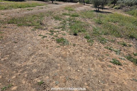Landejendom i Ginestar, Tarragona, Ginestar - € 36.000 | Ref: 1013 Ginagua - foto 19